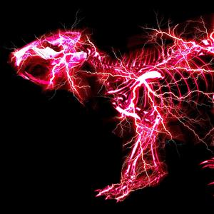 爱爱激情抽查视频
