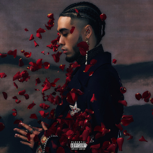 爱爱激情抽查视频
