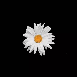 爱爱激情抽查视频
