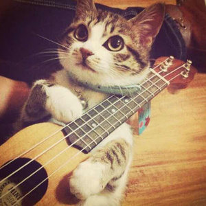 爱爱激情抽查视频
